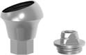 multi_base_abutment