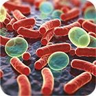 oral-photodynamic-therapy-6