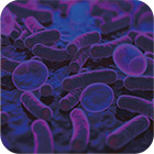 oral-photodynamic-therapy-7