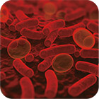 oral-photodynamic-therapy-8